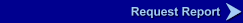 Request Report